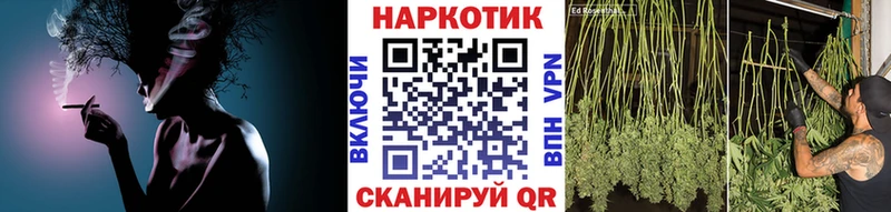 Купить закладку Бошки Шишки  Псилоцибиновые грибы  A PVP  МЕФ  Кокаин  Крымск