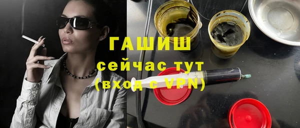гашик Дмитров