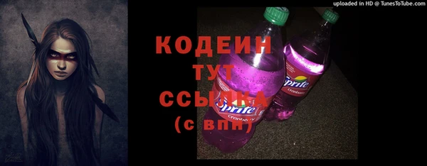 гашик Дмитров