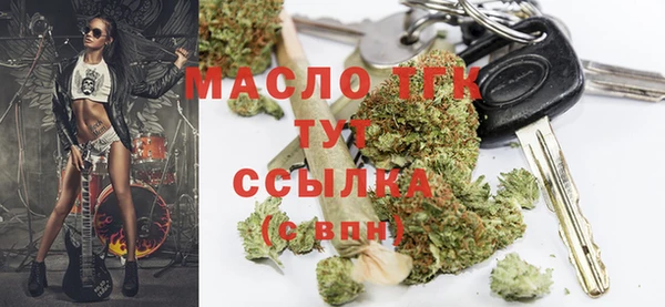 гашик Дмитров