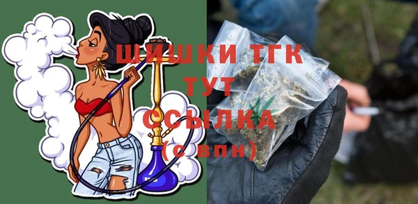 гашик Дмитров