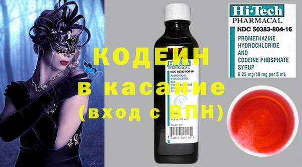 гашик Дмитров
