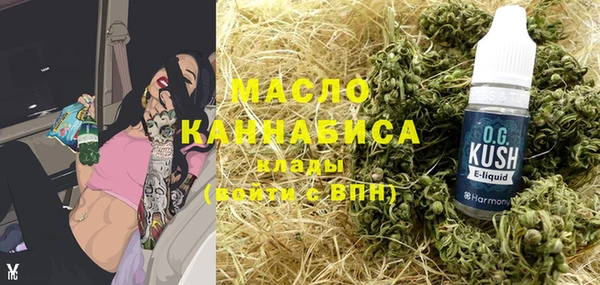гашик Дмитров